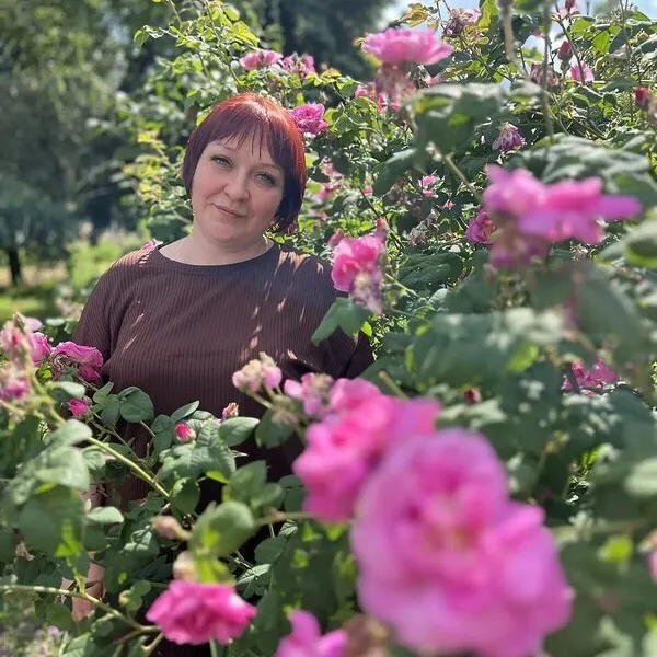 Елена